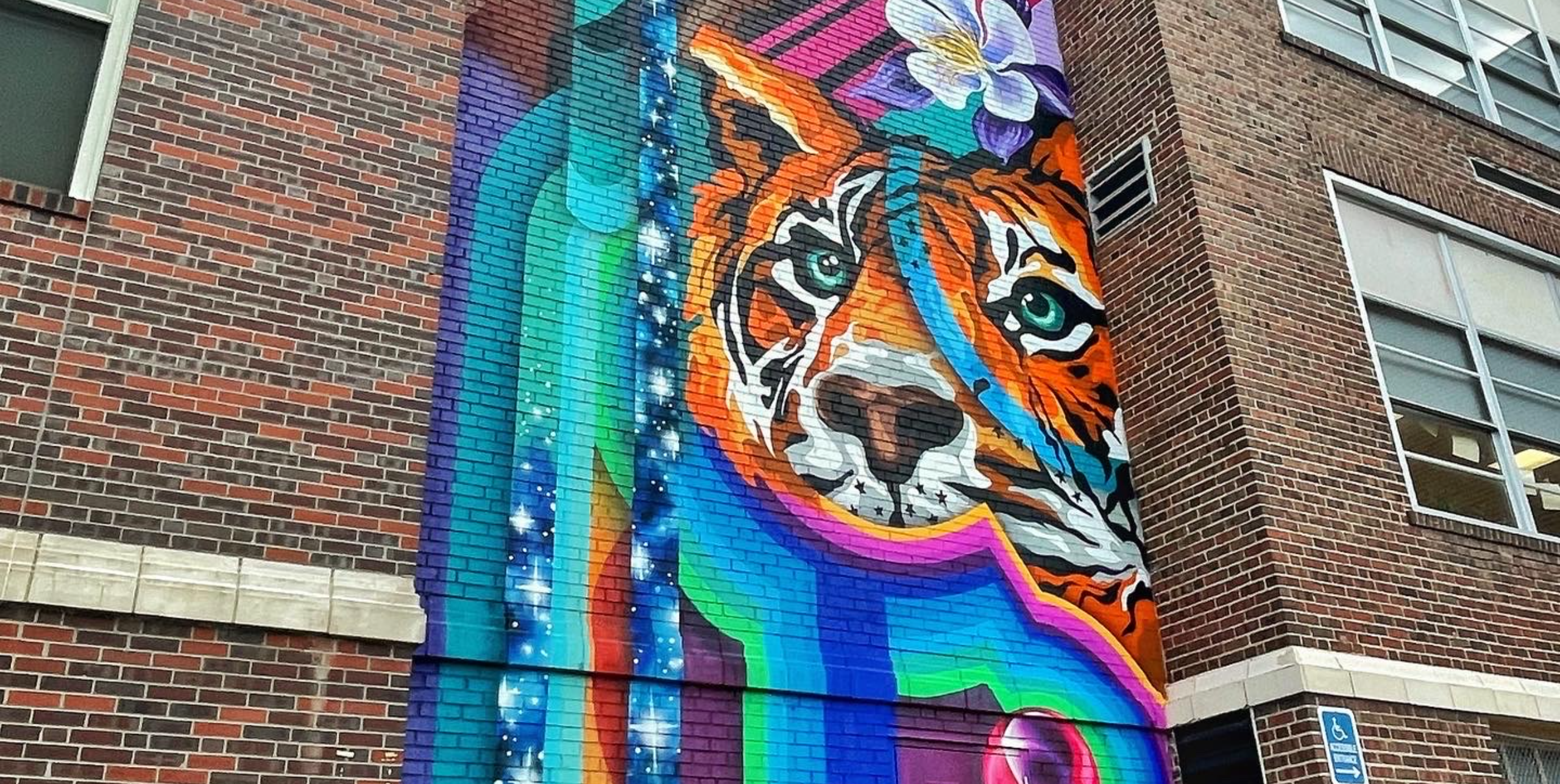 Mural Installation