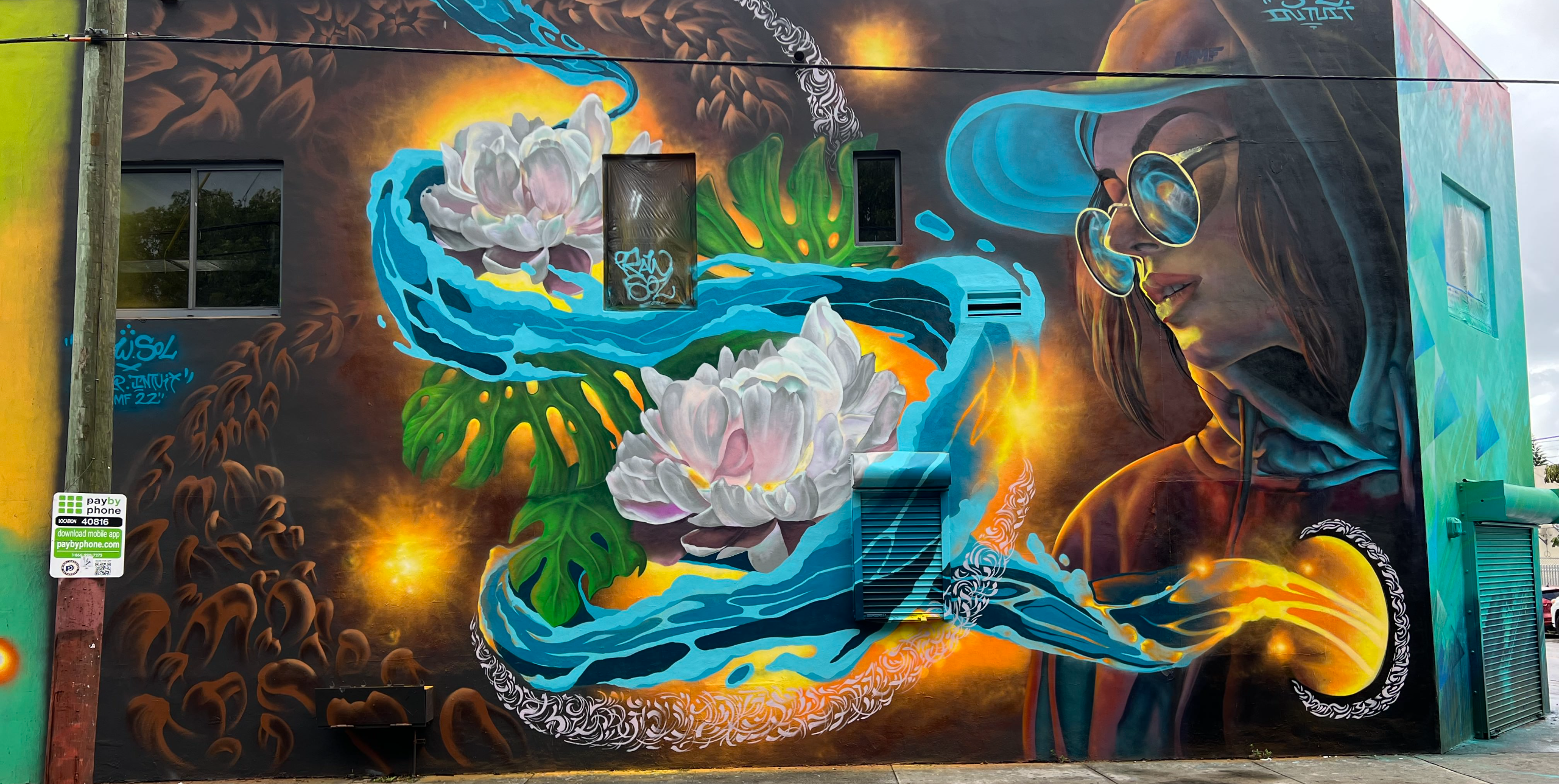 Portfolio Image 7